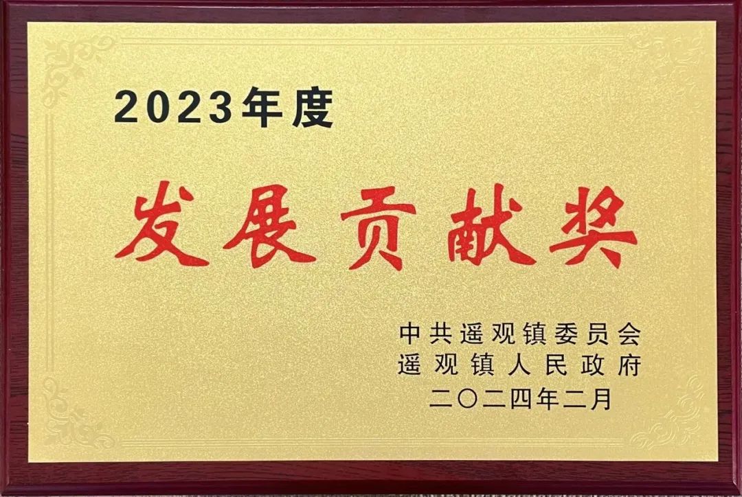 奮躍而上踏征程 砥礪前行再揚帆丨江蘇德勵達榮獲“發(fā)展貢獻獎”&“優(yōu)秀企業(yè)家”